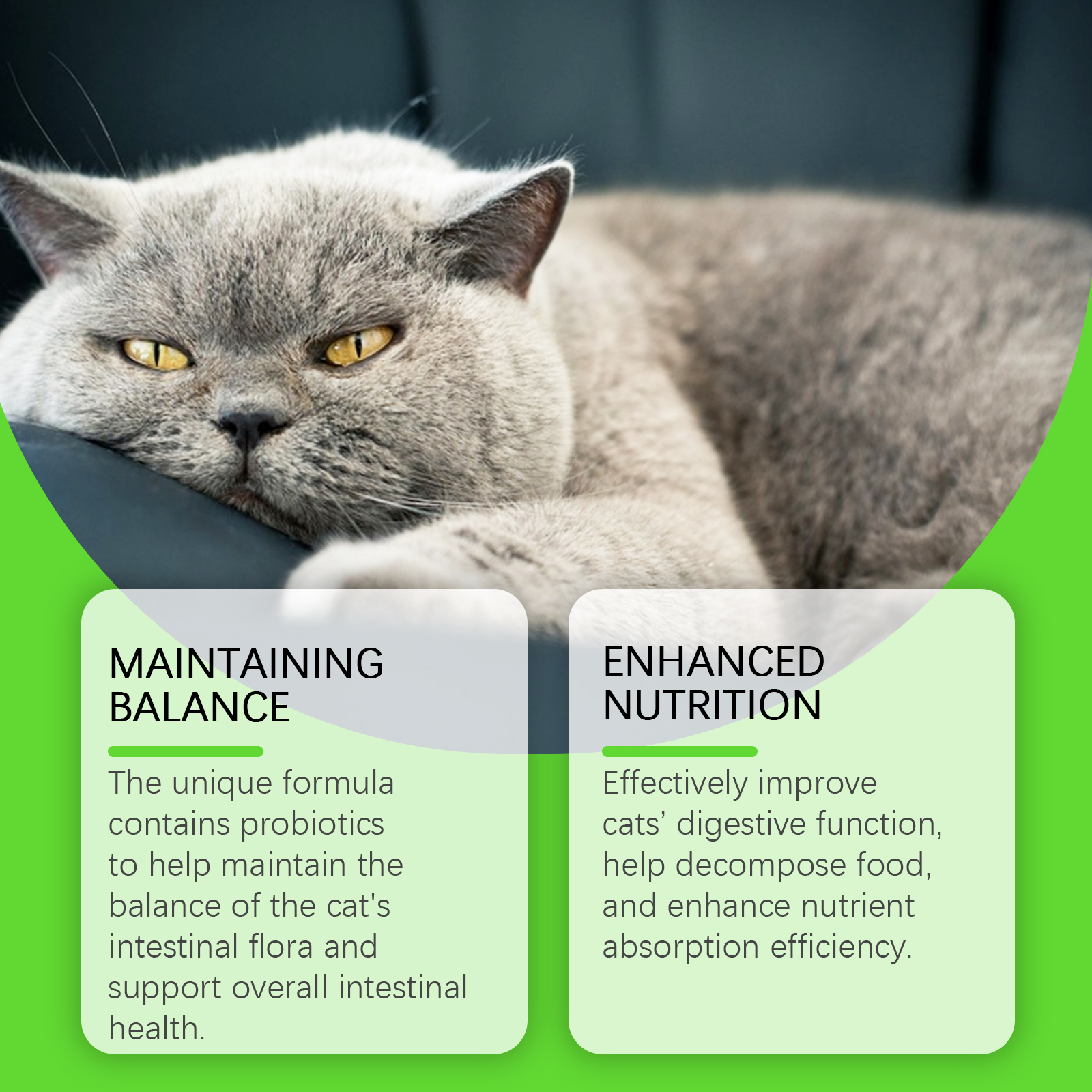 Cat Constipation Relief Probiotic Drops, Natural Digestive Support Supplement For Cats, Boost Nutrient Absorption & Appetite — foto 4