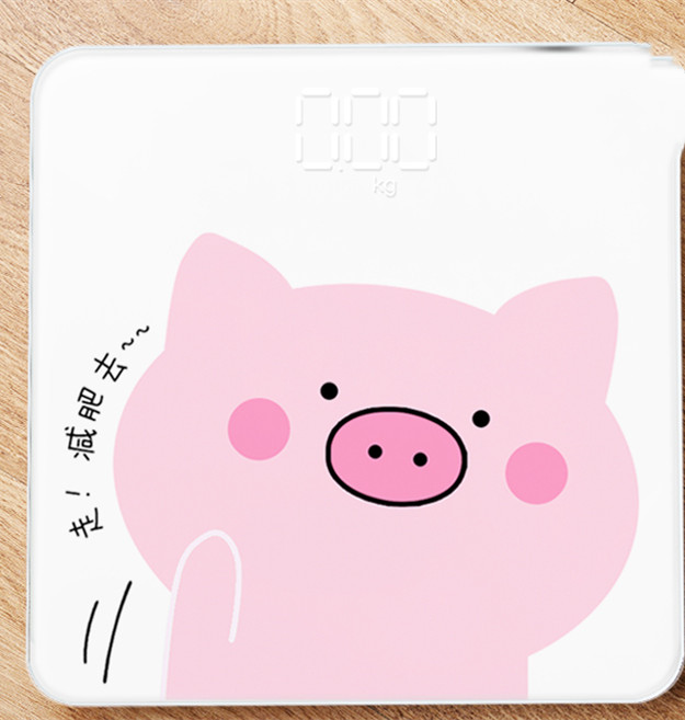 Health Scale in Use