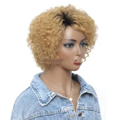Small Curly Real Hair Headgear, Gradual Fluffy Head High-end Short Hair Cover - 27Ot - View 1