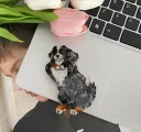 Bernese Dog