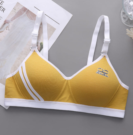 Title 3, Japanese Style Small Chest Push Up Bra