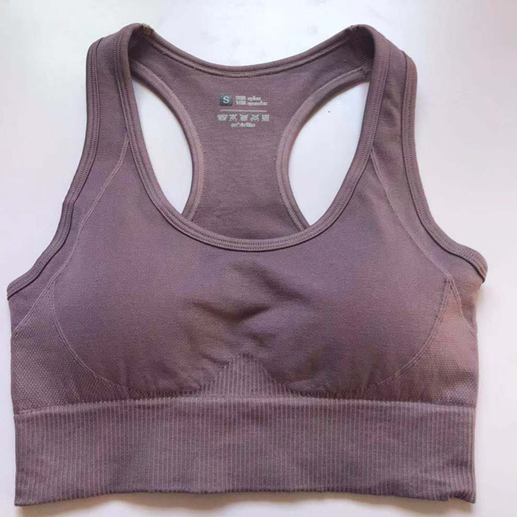 Taro Purple Bra