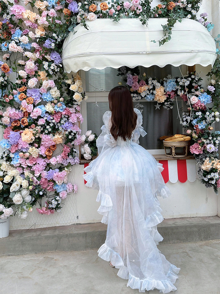 Women's Bubble Sleeve Trail Birthday Princess Dress