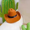 Brown Cowboy Hat