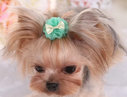Pet Dog Cute Organza Bubble Hairpin Green - Shop at LoveMi