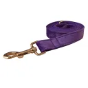 Dog Leash
