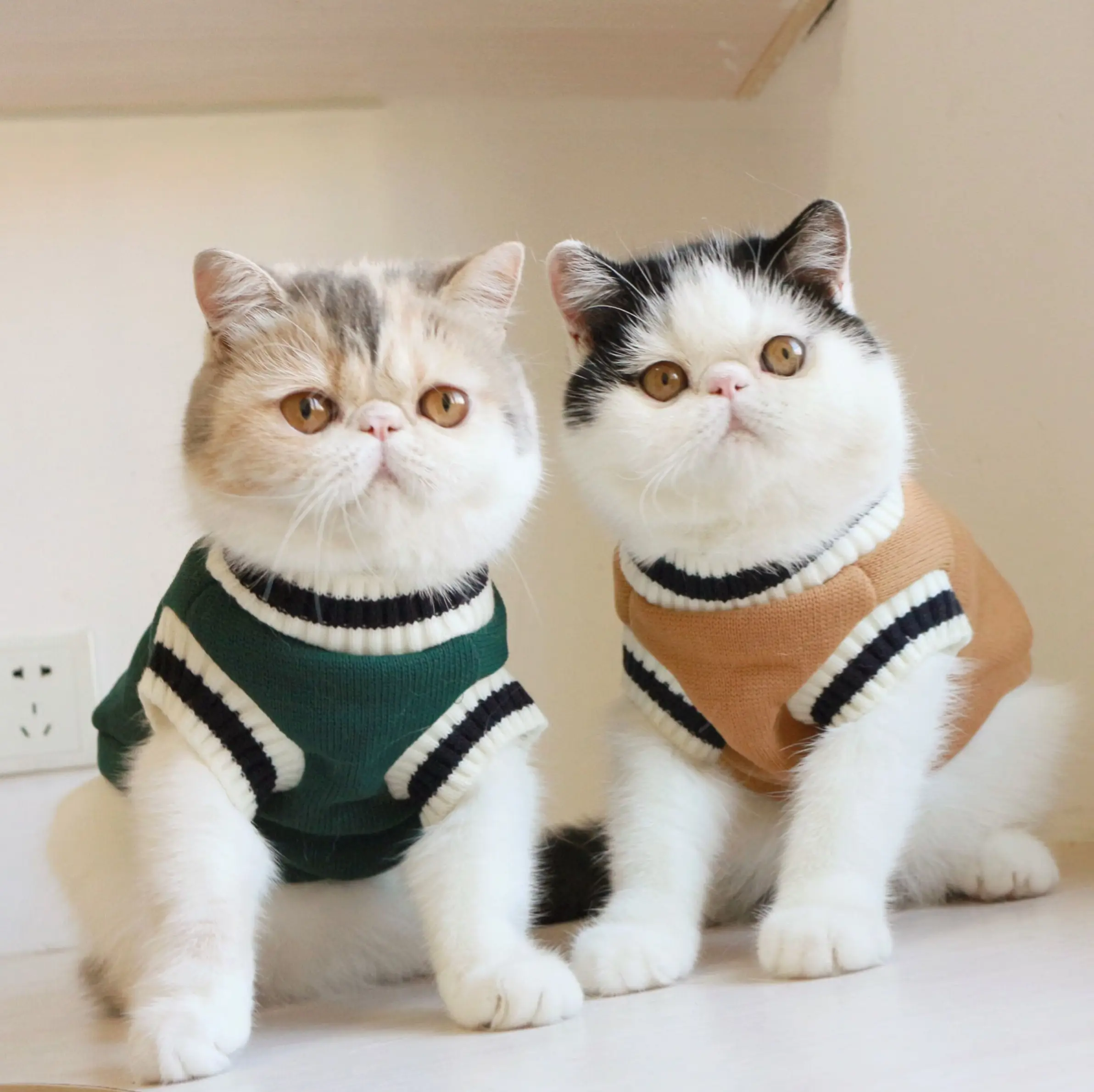 American College Style Fleece Cat Knit Sweater