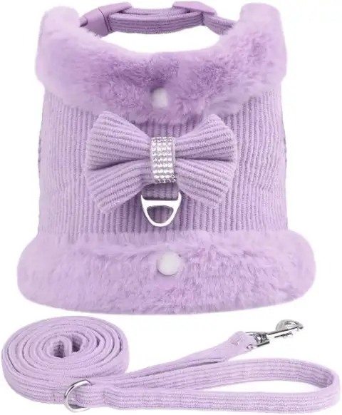 Cute Warm Small Dog Harness and Leash Set