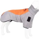 Grey Orange