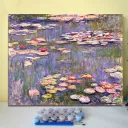 2015Water Lily