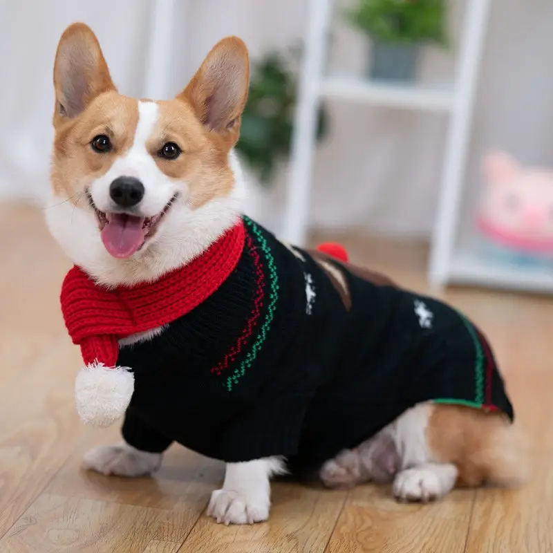 Padded Coat Pet Winter Shiba