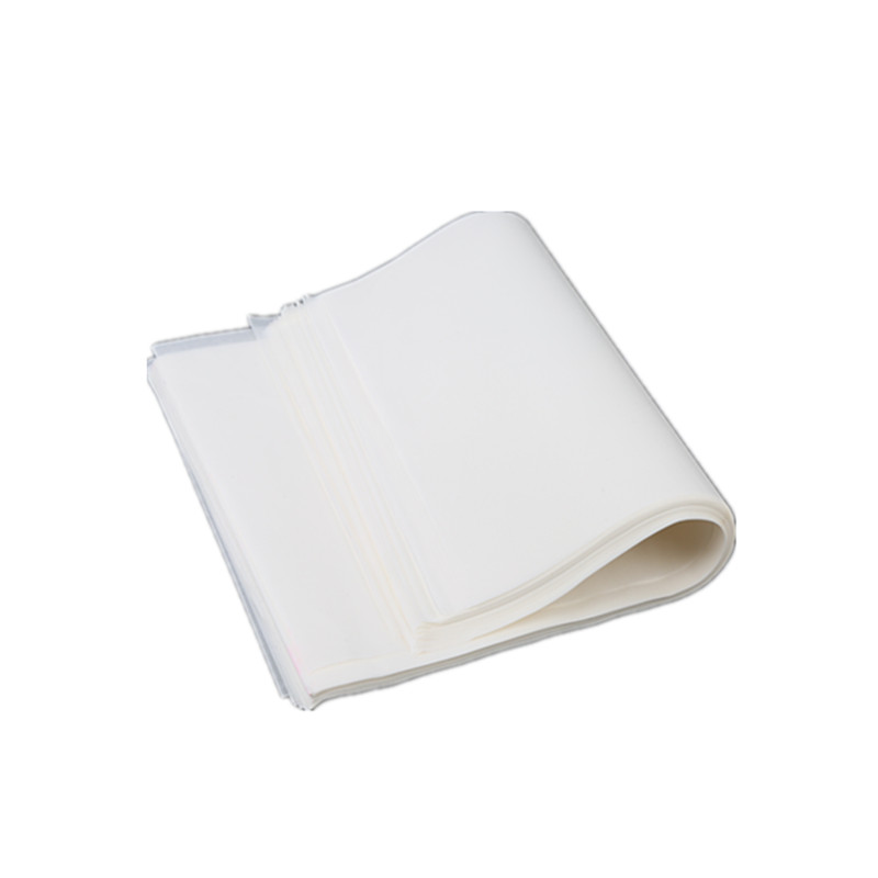 Title 5, Thickened Special Paper For Grilled Fish