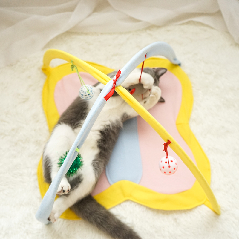 Cat Playing with Funny Cat Stick Toy Set