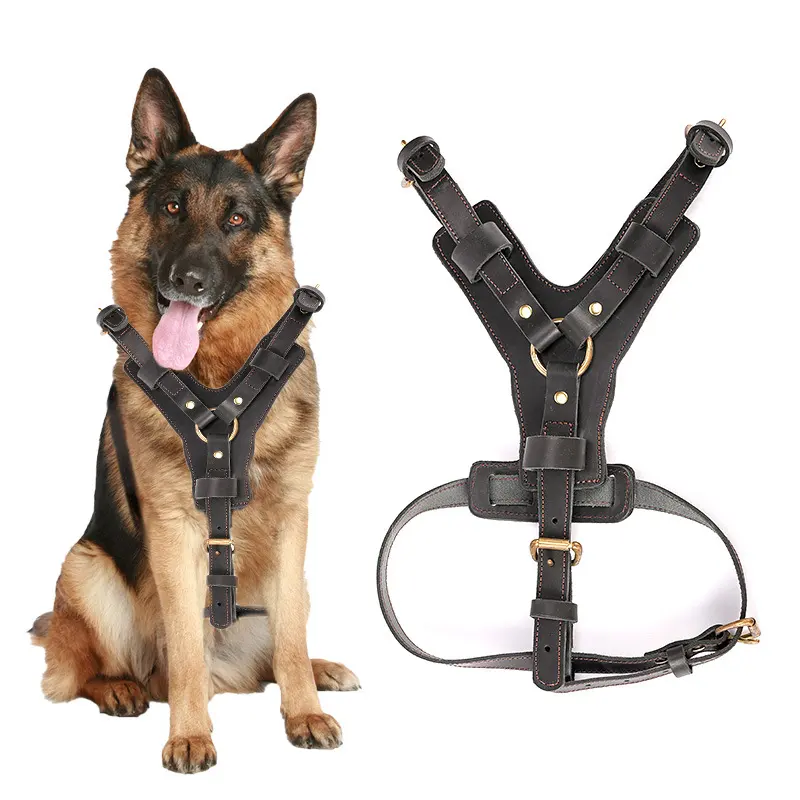 Cowhide Chest Back Pet Supplies Dog Automatic Traction Rope