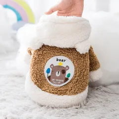 Thickened Warm Cotton Two-legged Cartoon Plus Velvet Cat Pet Clothes - Brown Bear - View 1