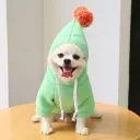Fruit Green
