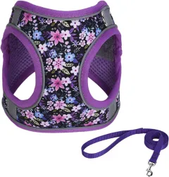 Step In Dog Harness No Pull Flower Adjustable Soft Mesh Padded Reflective Pet Vest Harness And Leash Set For Small Medium Dogs - Purple - View 1