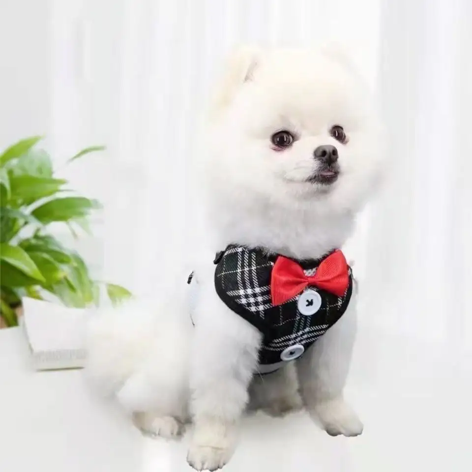 Dog Hand Holding Rope Vest Clothes Small And Medium Dogs Chest Strap