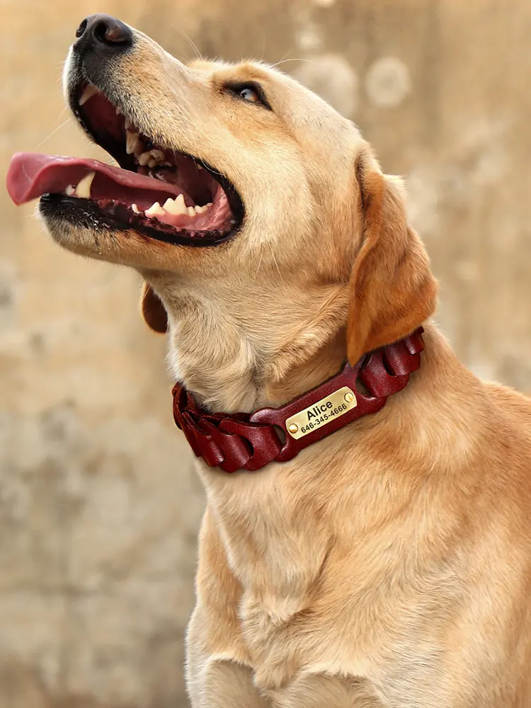 Dog Braided Leather Medium Large Collar