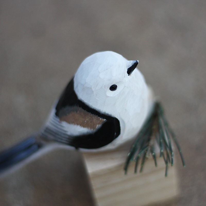 Collection oiseaux bois – trois espèces