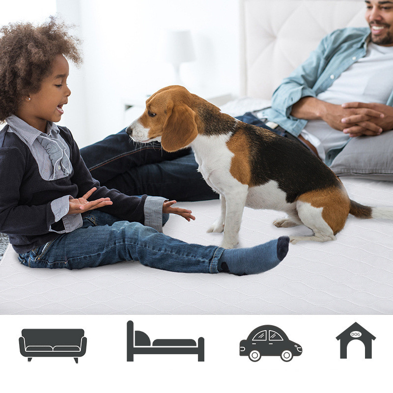 Recycle Pet Dog Urine Pads At Home