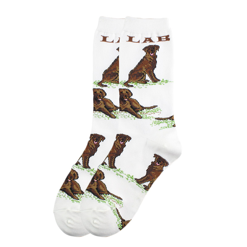 Title 7, Nueva tendencia de calcetines lindos de animales