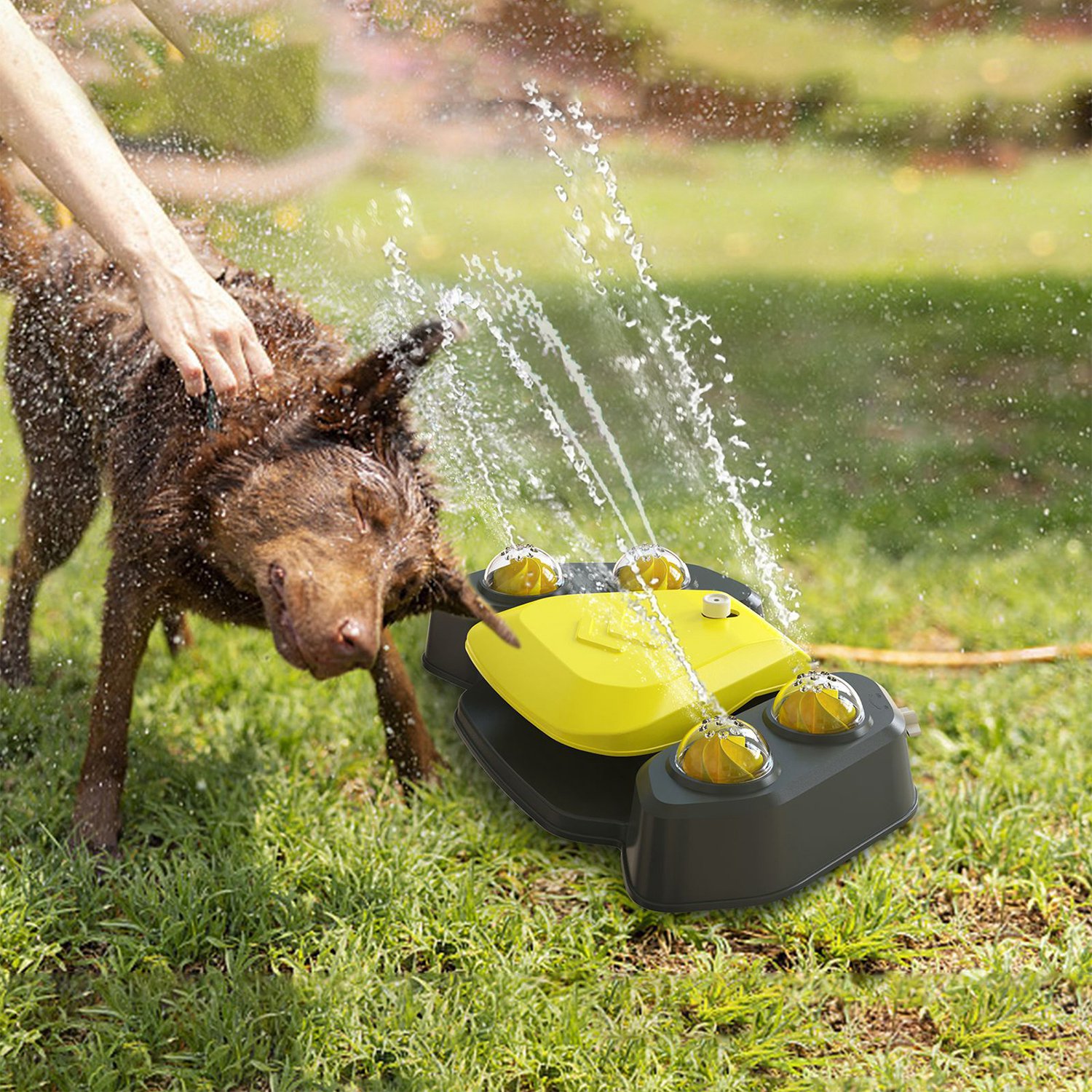 Blue-Yellow Color Options -- 1Pc Dog Water Fountain Multifunctional Automatic Pet Water Dispenser Outdoor Step-on Activated Sprinkler For Drinking Shower Fun — foto 12