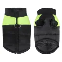 Fluorescent Green