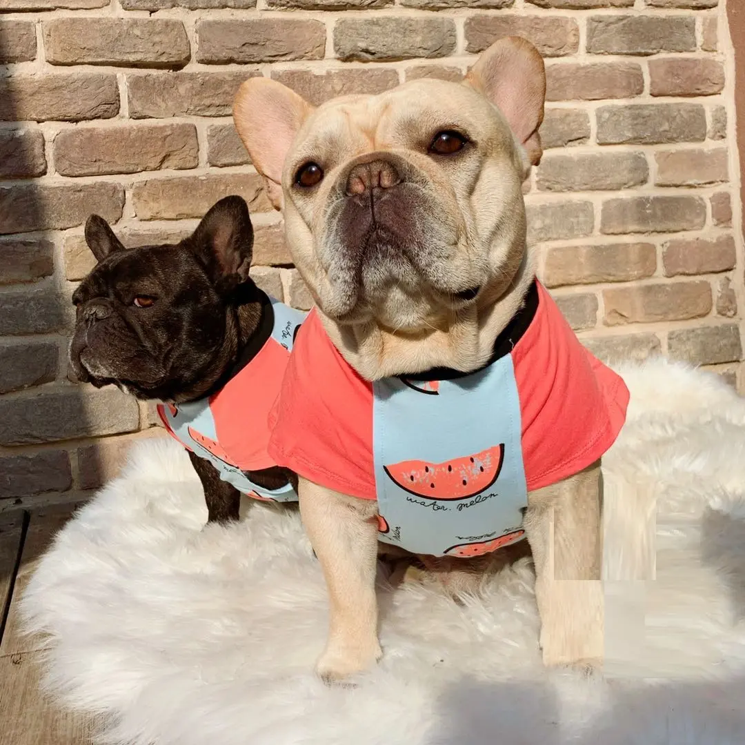 Spring And Autumn Thin Short Sleeve Dog