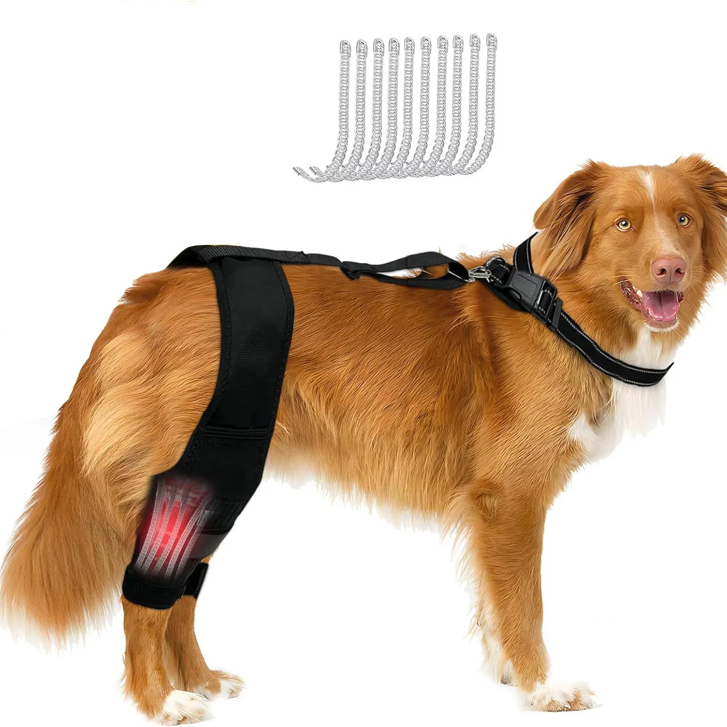 Leg Protector For Dogs Knee Brace Auxiliary