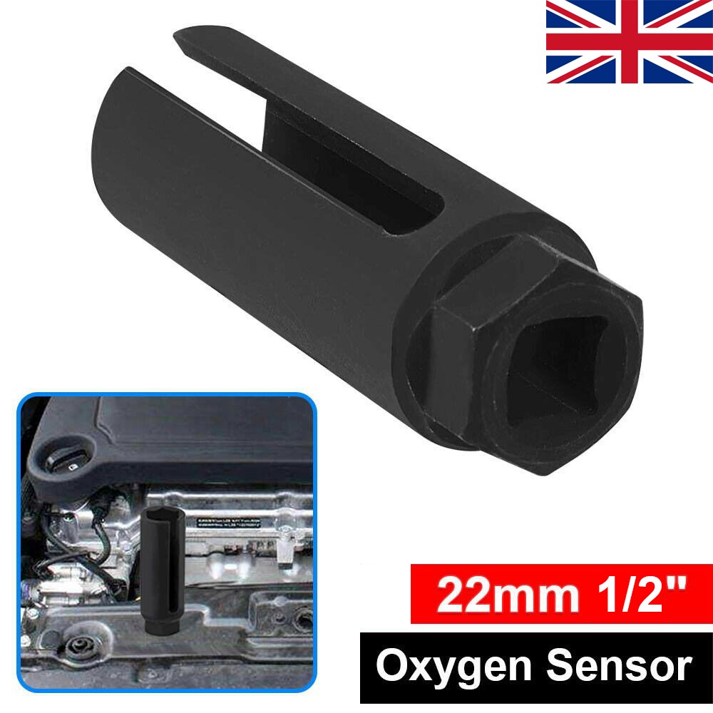 d771d158 ab3b 4094 9d2a fc68d934f2e6