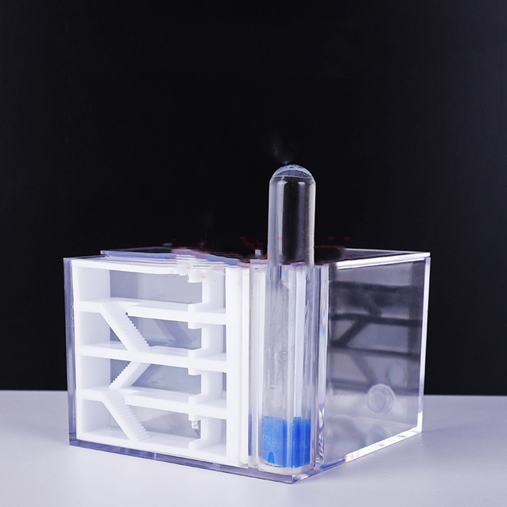 The Ant Nest Can Be Used At Home Without Assembly And Can Be Raised