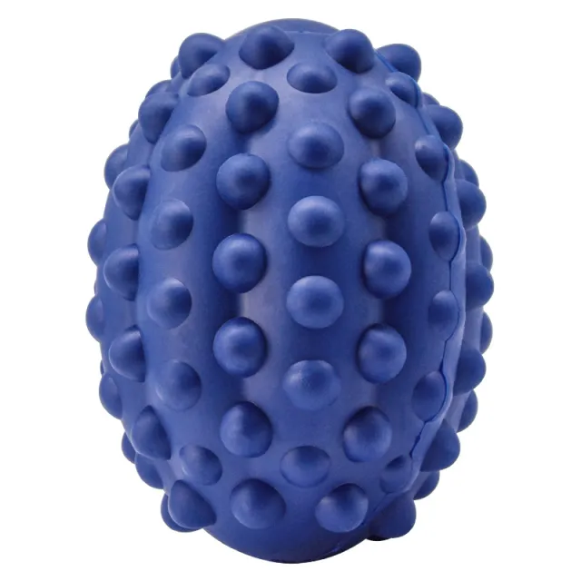 Pet Toy Rubber Bump Rugby Vocal Resistance Bite Wear Blue - Shop at LoveMi