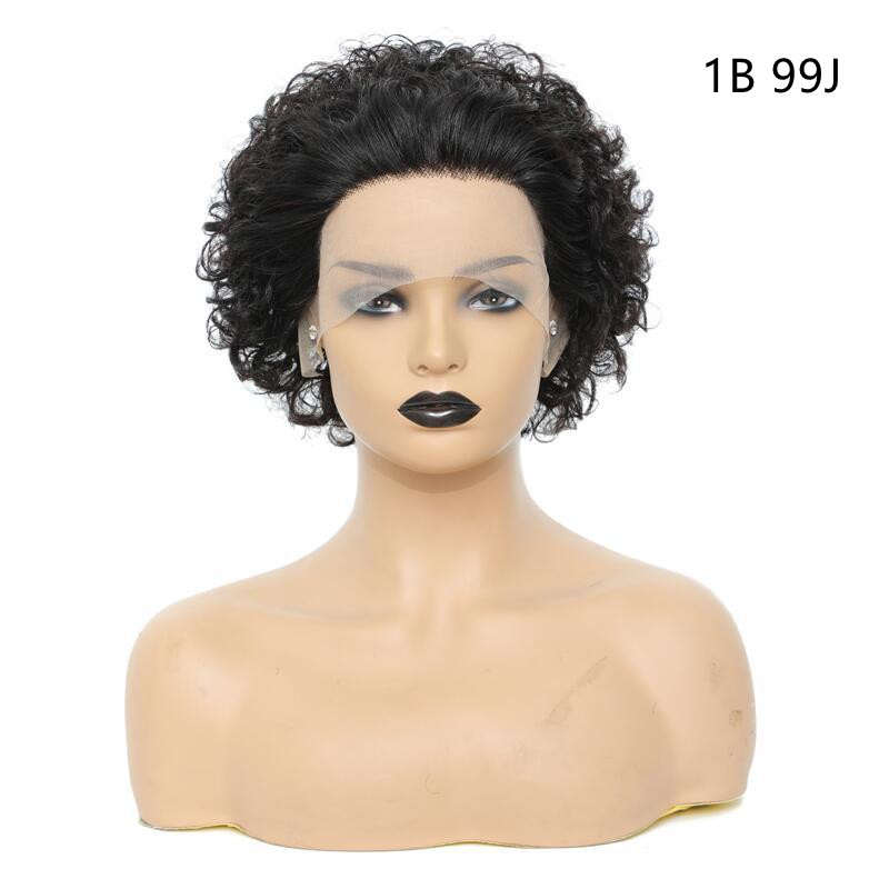Women's Fashion Front Lace African Small Curly Wig 1B 99J - Shop at LoveMi