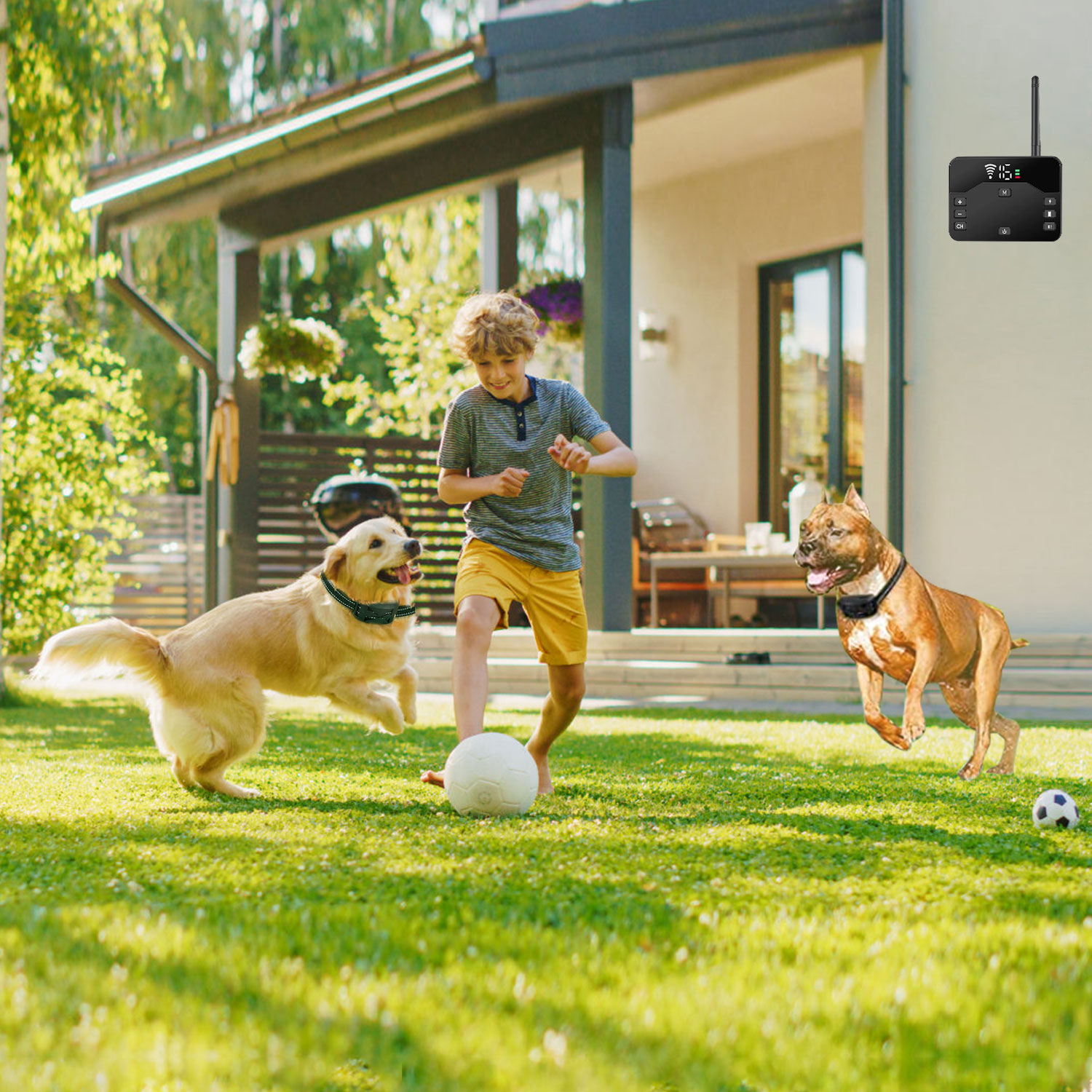 2 In 1 Wireless Electric Dog Fence Waterproof Pet Shock Boundary Containment System Electric Training Collar With 2 Receiver Collars For Small Medium Large Dogs