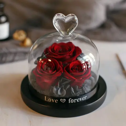 Valentine's Day Birthday Gift Box Glass Cover Big Rose