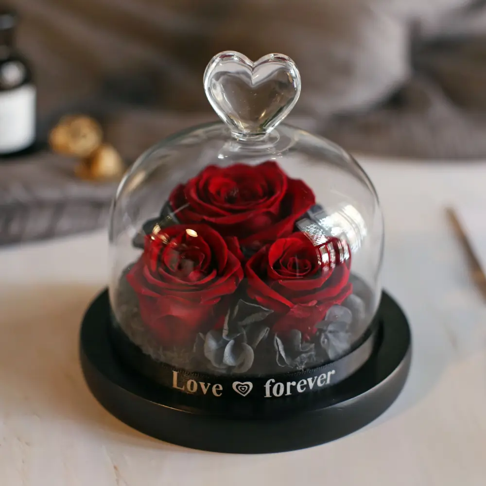 Valentine's Day Birthday Gift Box Glass Cover Big Rose