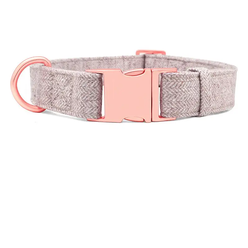 Pet Dog Collar Engraving Anti-Lost Traction Rope Supplies