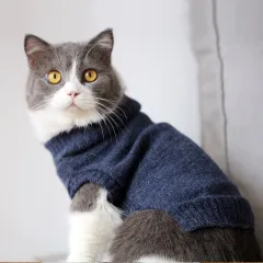 Autumn And Winter Clothes British Short Blue Cat Sweater - 1 Style - View 1