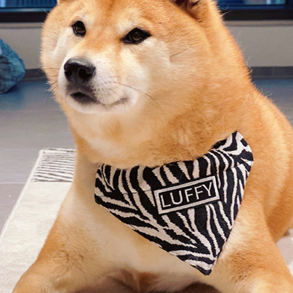 Small Pet Double Sticky Fly Bowl