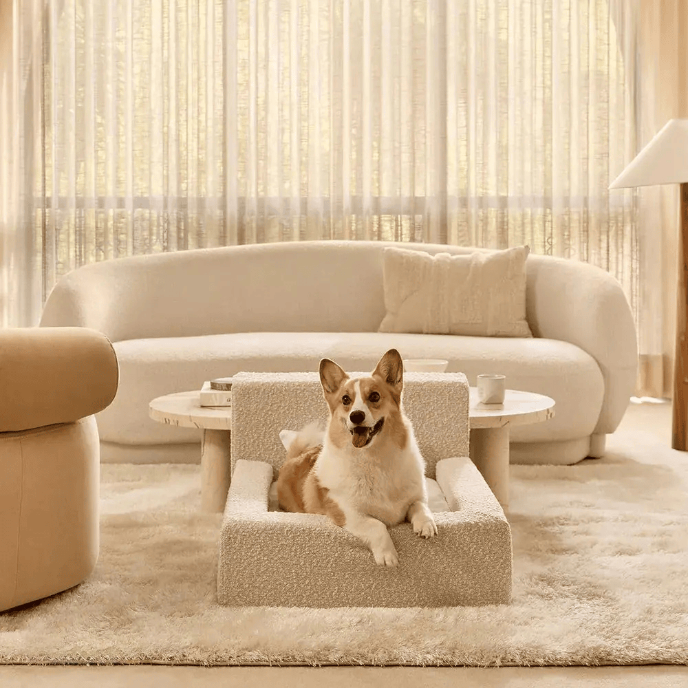 Dog Mat, Movable Rectangular Sponge Cat Bed Backrest, Pet Sofa, Suitable For Small, Medium And Large Cats And Dogs, Mat Bed, Dog Pet Accessories, Bedding