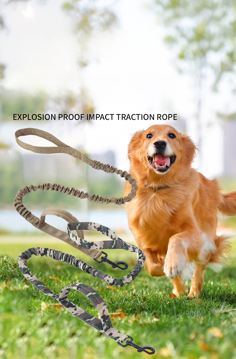 Title 11, Tactical Dog Leash, Adjustable Military Tactica...