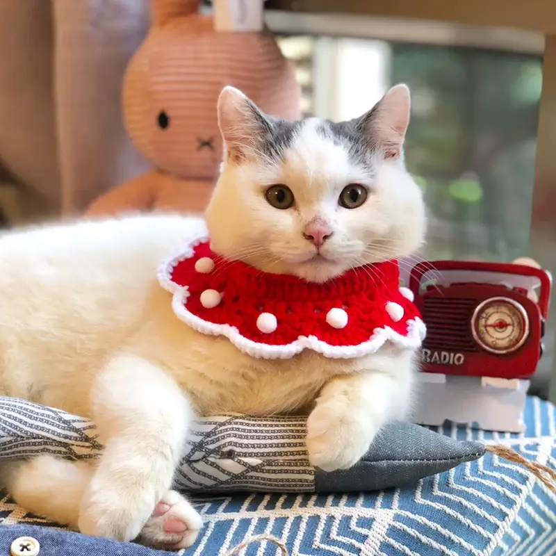Pet Cats, Dogs, Rabbits, Knitted Collars, Christmas Ornaments, Saliva Towels
