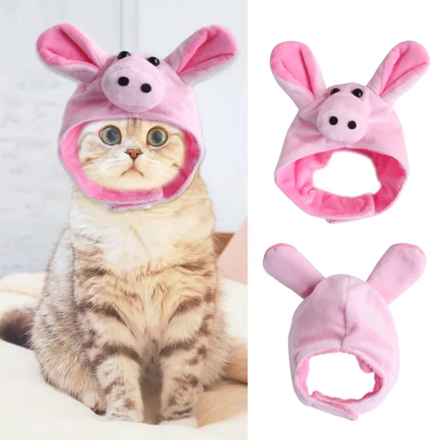 Curly Hair Pet Hat Cat Funny Dress Up Pet Products Pig - Shop at LoveMi