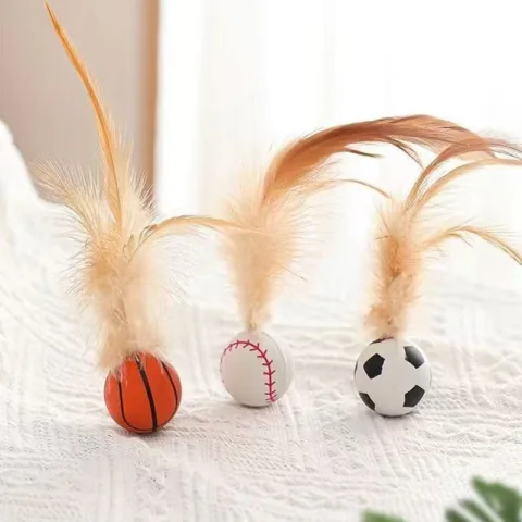 Cat Toys