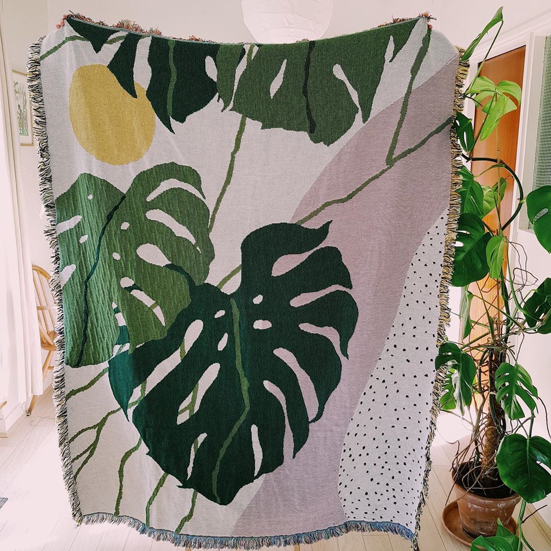 Monstera