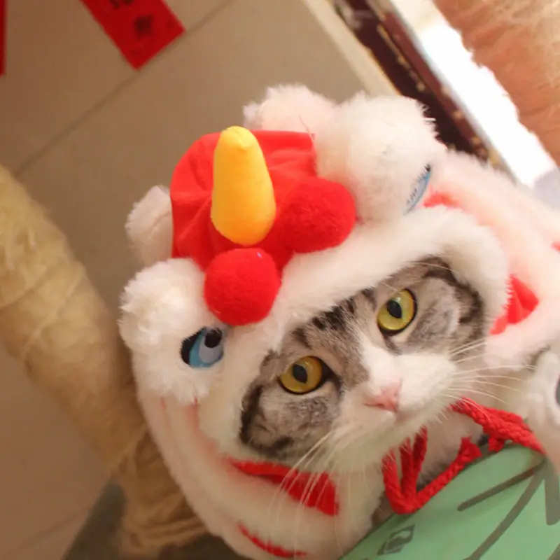 Winter Warm Cloak Cat Lion Shawl