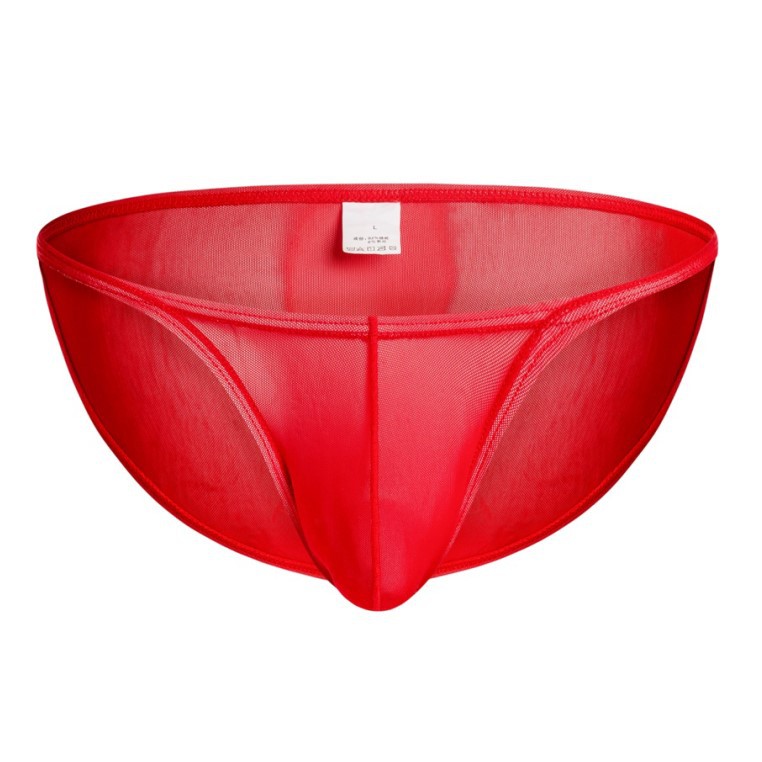 Trendy Men's Mesh Low-waisted Thin-brimmed Briefs Fashion