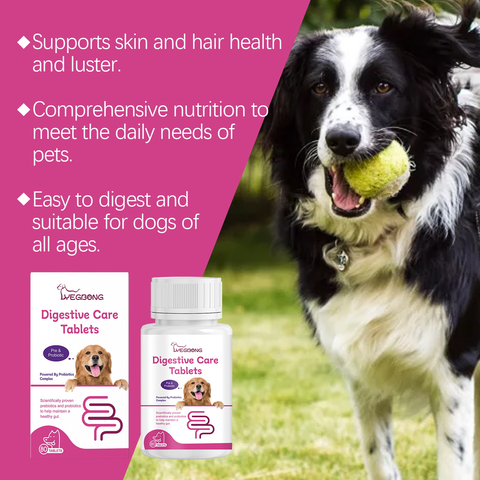 Dog Pre & Probiotic Digestive Care Tablets, Gut Health Supplement For Dogs, Supports Digestion, Immunity, Skin & Vision Health, 80 Chewable Tablets — view 5