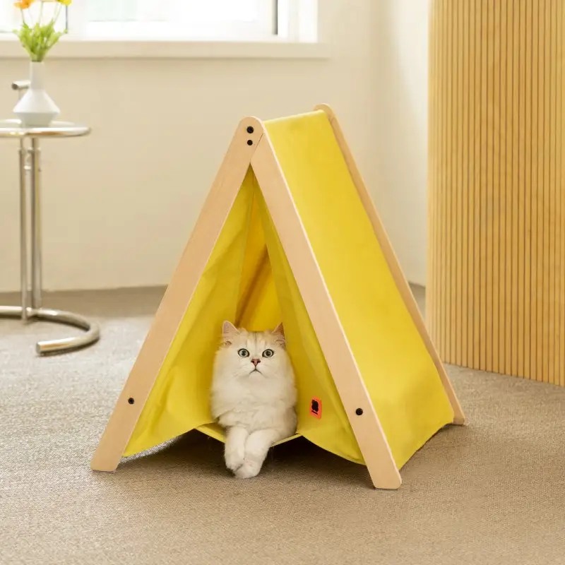 Pet Cat Tent Supplies Are Available All